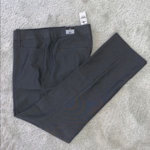 Express Columnist Women’s Dress Pant